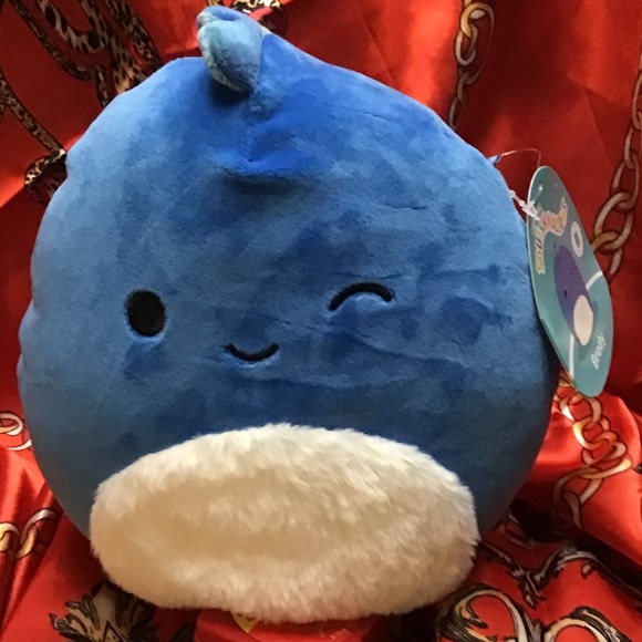 BRODY Squish date 01-17-2023. 8” - Picture 1 of 7